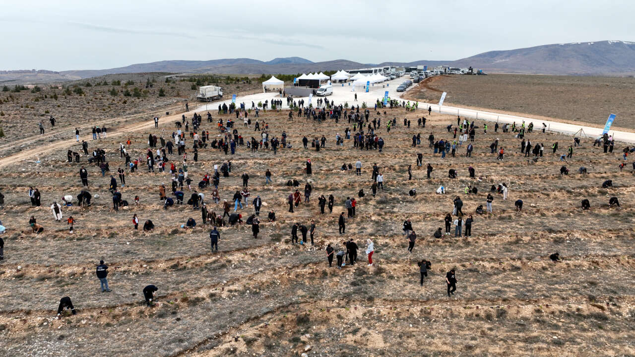 Konya’da karbon yutak alanı oluşturuldu 13